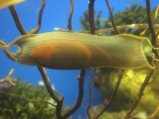 106-IMG_3185.JPG.small.jpeg