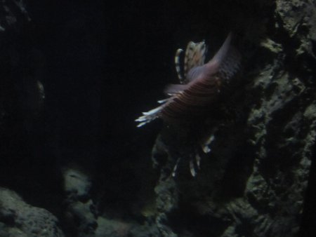 108-IMG_3187.JPG.medium.jpeg