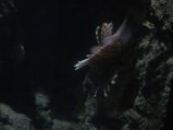 108-IMG_3187.JPG.small.jpeg