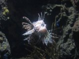 109-IMG_3188.JPG.small.jpeg