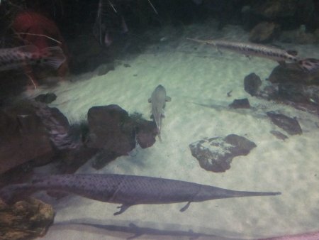 110-IMG_3189.JPG.medium.jpeg
