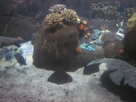 112-IMG_3191.JPG.medium.jpeg