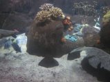 112-IMG_3191.JPG.small.jpeg