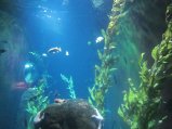 113-IMG_3192.JPG.small.jpeg