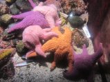 114-IMG_3193.JPG.small.jpeg