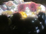 115-IMG_3194.JPG.small.jpeg